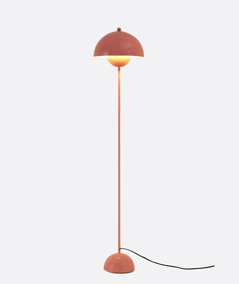 Modern Pink Powder Floor Lamp