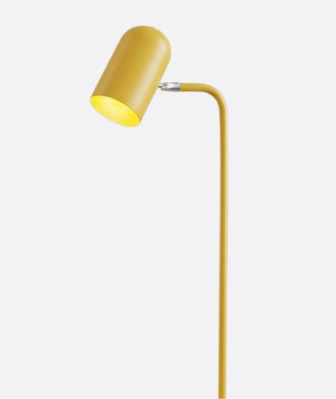 Playful Multitask Floor Lamp