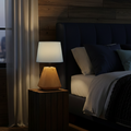 Scandinavian baby blue Wood Table Lamp