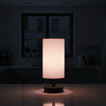 Powder Cylinder Table Lamp