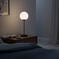Modern Black Globe Table Lamp