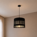 stylish Black pendant lamp