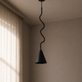Single Pendant Black Celling Unit