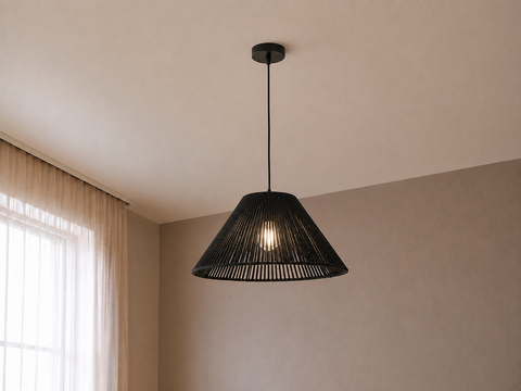Modern Black Single Pendant