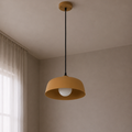 Modern Plate Shape Pendent