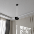 Modern Black Single pendant